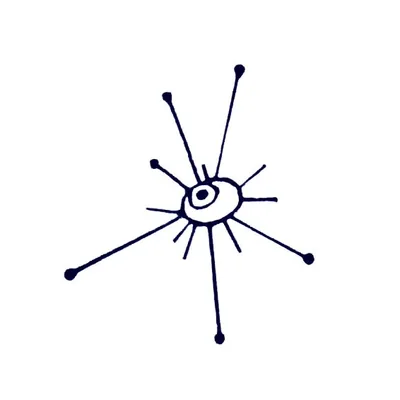 @kuranda_agencia profile image