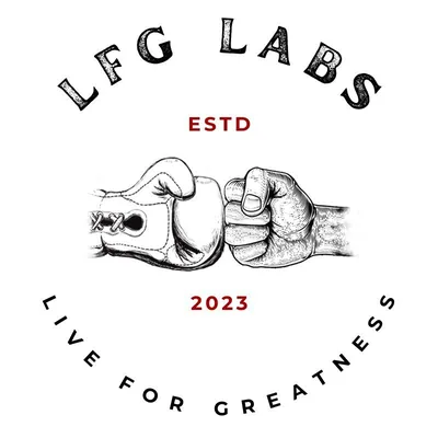 @l.f.g.labs profile image