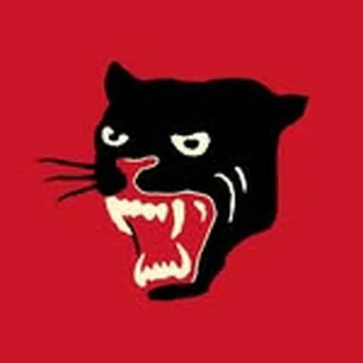 @la.pantera.asador profile image