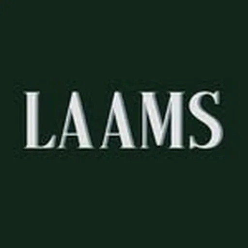 @laams.nyc profile image