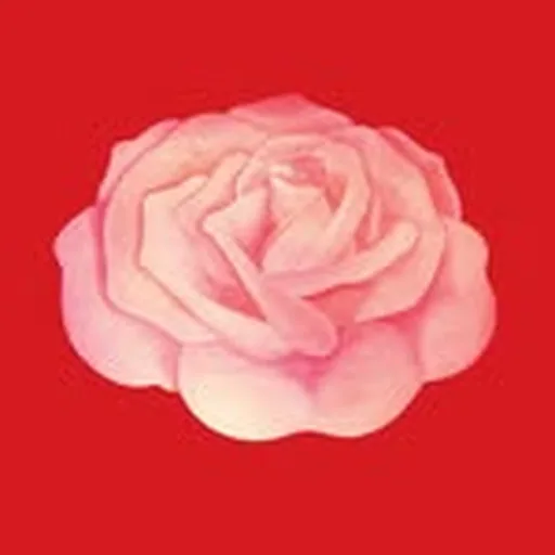 @labocafaena profile image