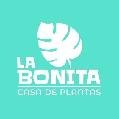 @labonita_plantas profile image