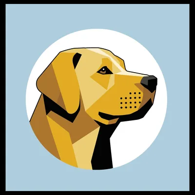 @labradors247 profile image