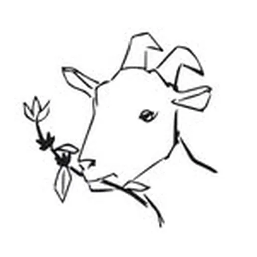 @lacabrabakery profile image