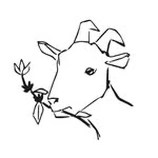 @lacabracoffee profile image