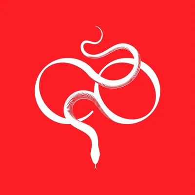 @lacobra.studio profile image