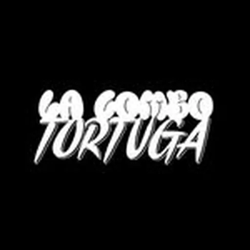 @lacombotortuga profile image