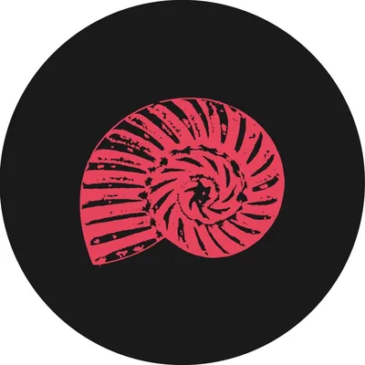 @laconchalora profile image