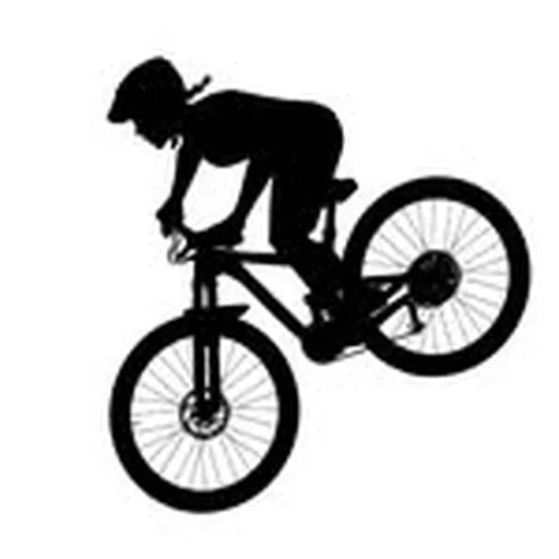 @ladiesallride profile image