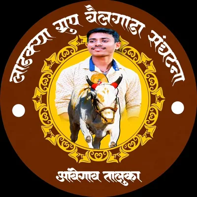 @ladkya_group_bailgada_official profile image