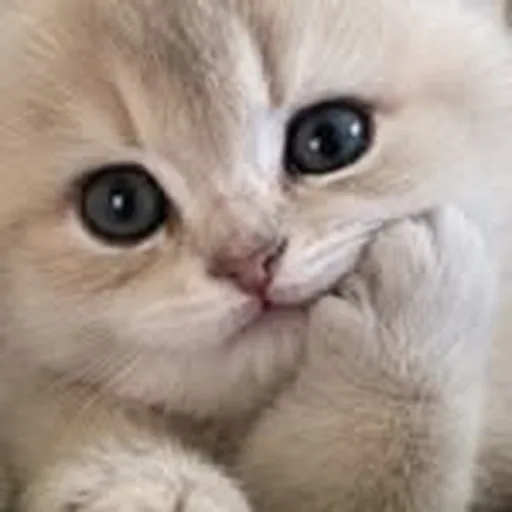 @lafleurkim profile image