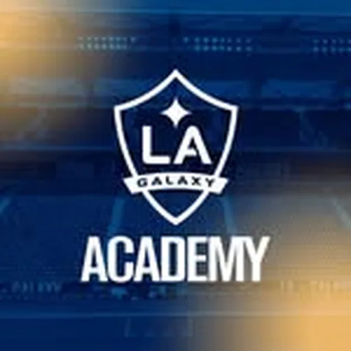 @lagalaxyacademy profile image