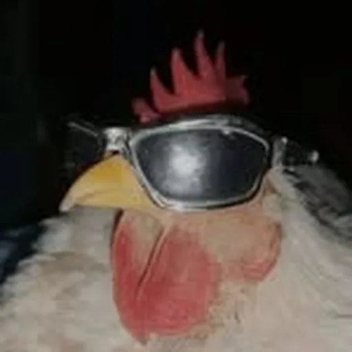 @lagallinss profile image