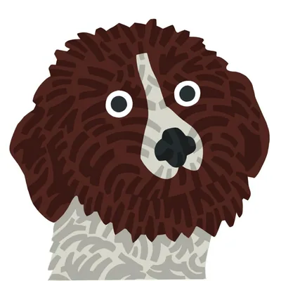 @lagotto.fitzroynorth profile image