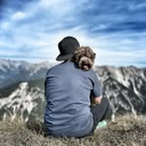 @lagotto_socke profile image