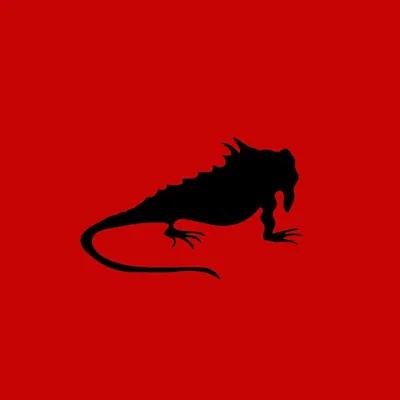 @laiguanaclub profile image