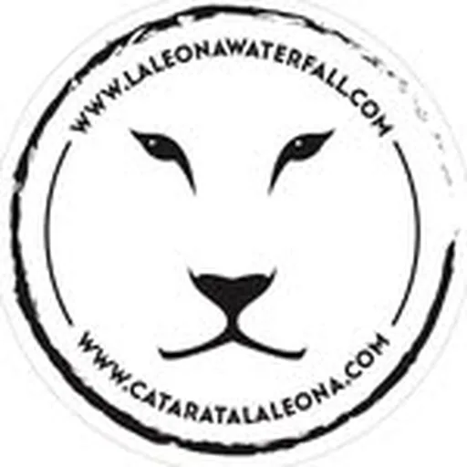 @laleonacatarata profile image