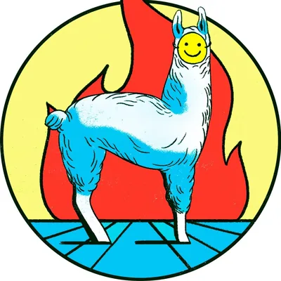 @lallamastore profile image