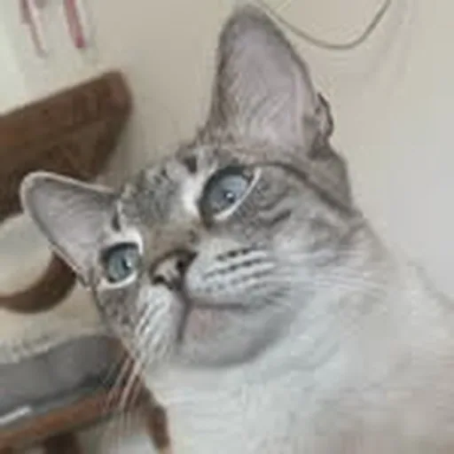 @lambo profile image