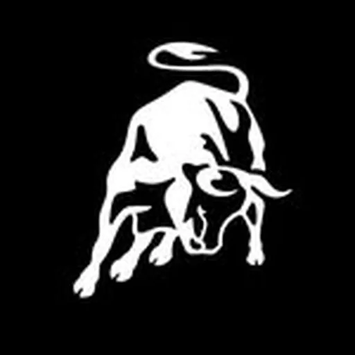 @lamborghini profile image