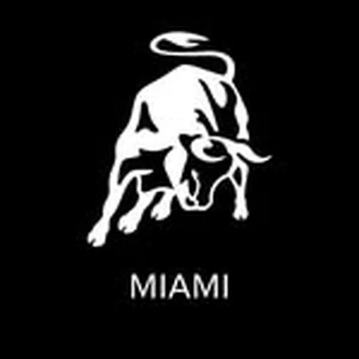 @lamborghinimiami profile image