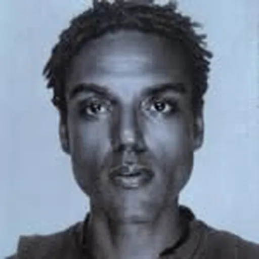 @laminleroy profile image