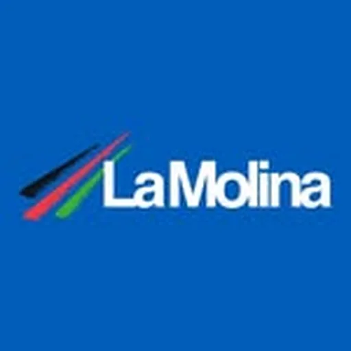 @lamolina profile image