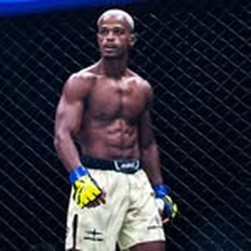 @lamp.mma profile image