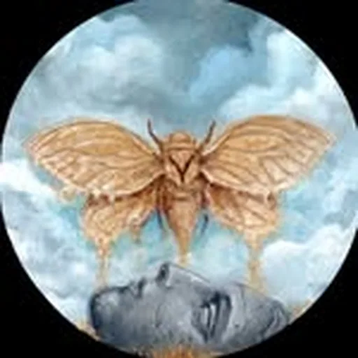 @landmvrks profile image