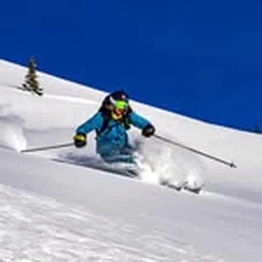 @langemcneal profile image