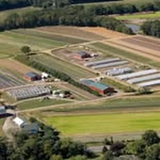 @lanisfarm profile image