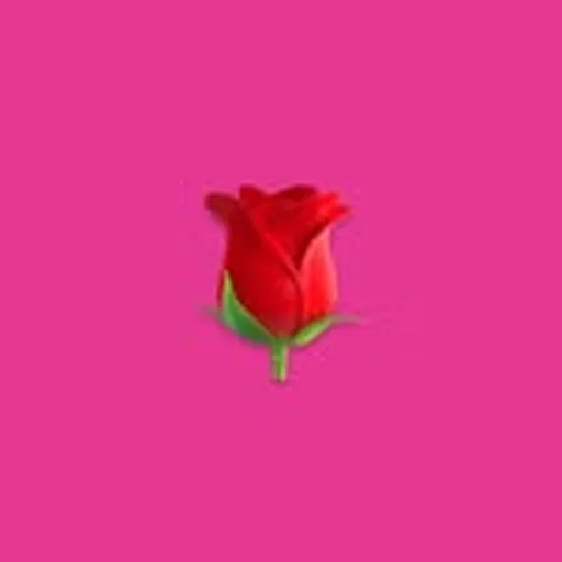 @lany profile image