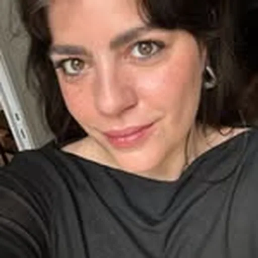 @laosegur profile image