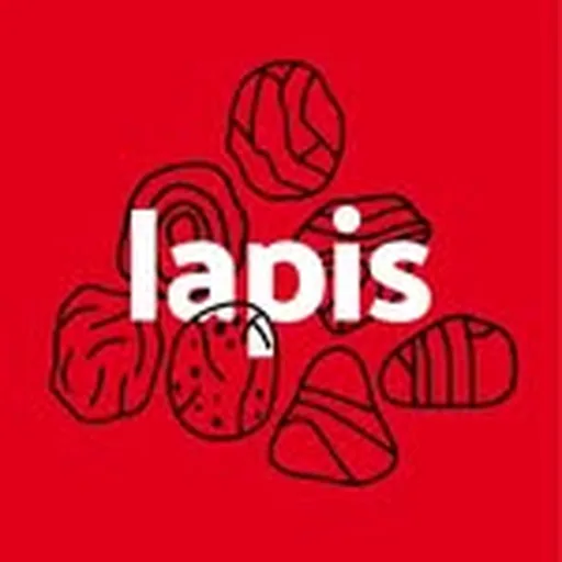 @lapis.mx profile image