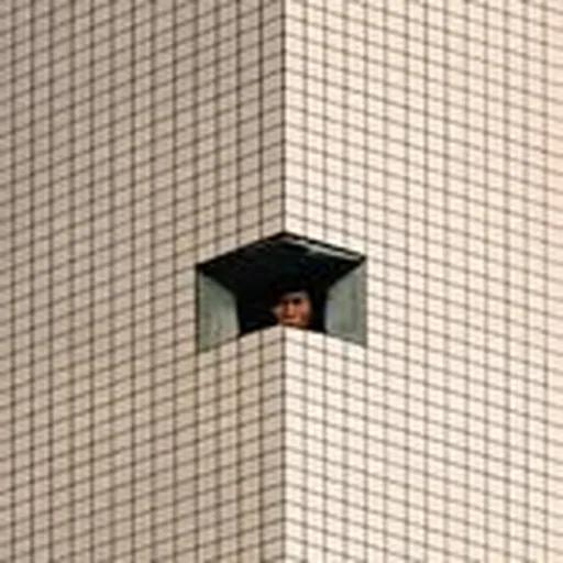 @laposenshu profile image