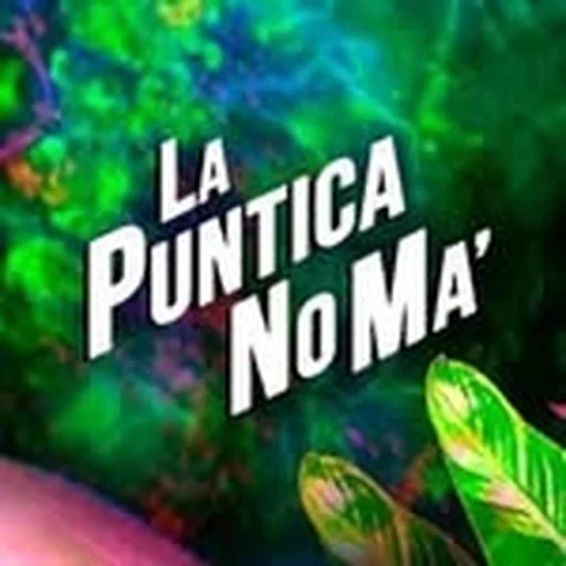 @lapunticaaa profile image