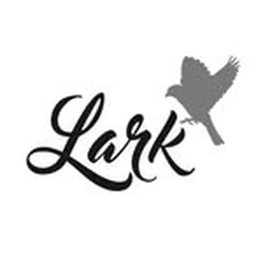 @larkchicago profile image