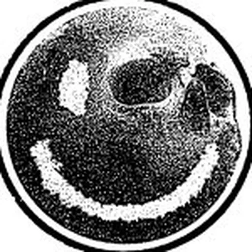 @laurajanegrace profile image