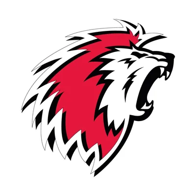 @lausannehc_officiel profile image