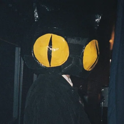 @lausse_the_cat profile image
