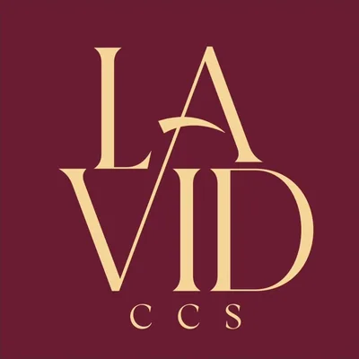@lavidccs profile image
