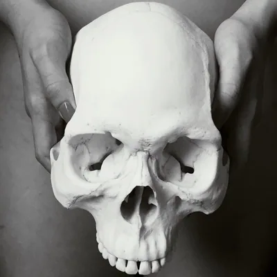 @lawlessjakarta.records profile image