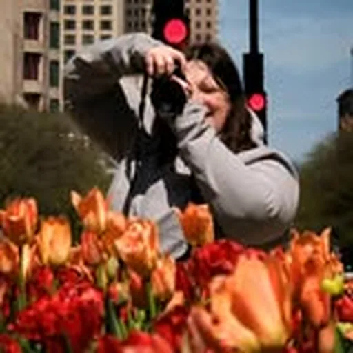 @layne_ferd profile image