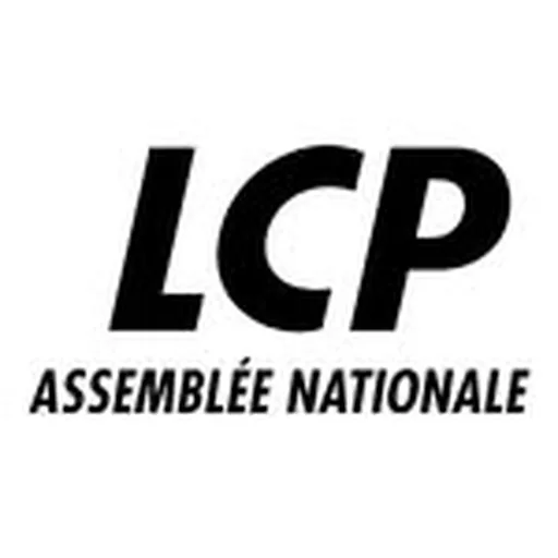 @lcp_an profile image