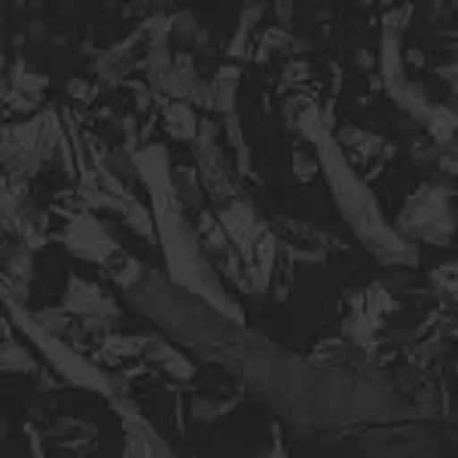 @ldbfest profile image