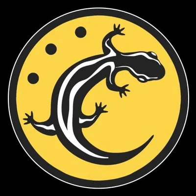 @le_triton profile image