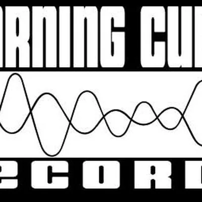 @learningcurverecords profile image