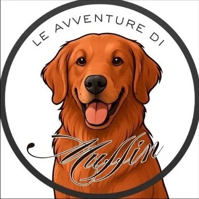 @leavventuredimuffin profile image