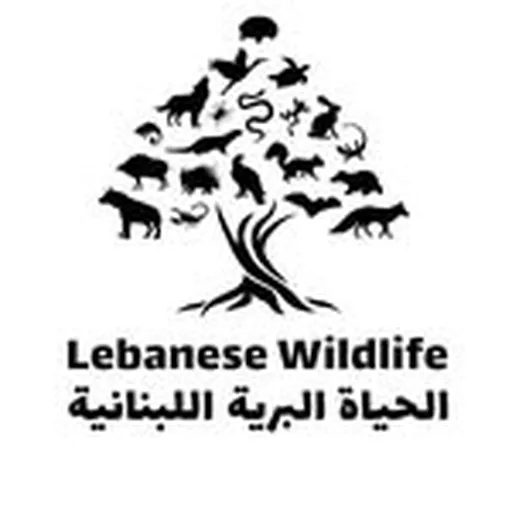 @lebanesewildlife profile image