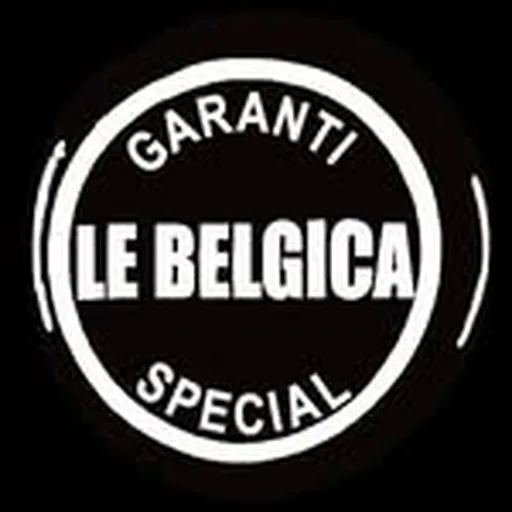 @lebelgica profile image
